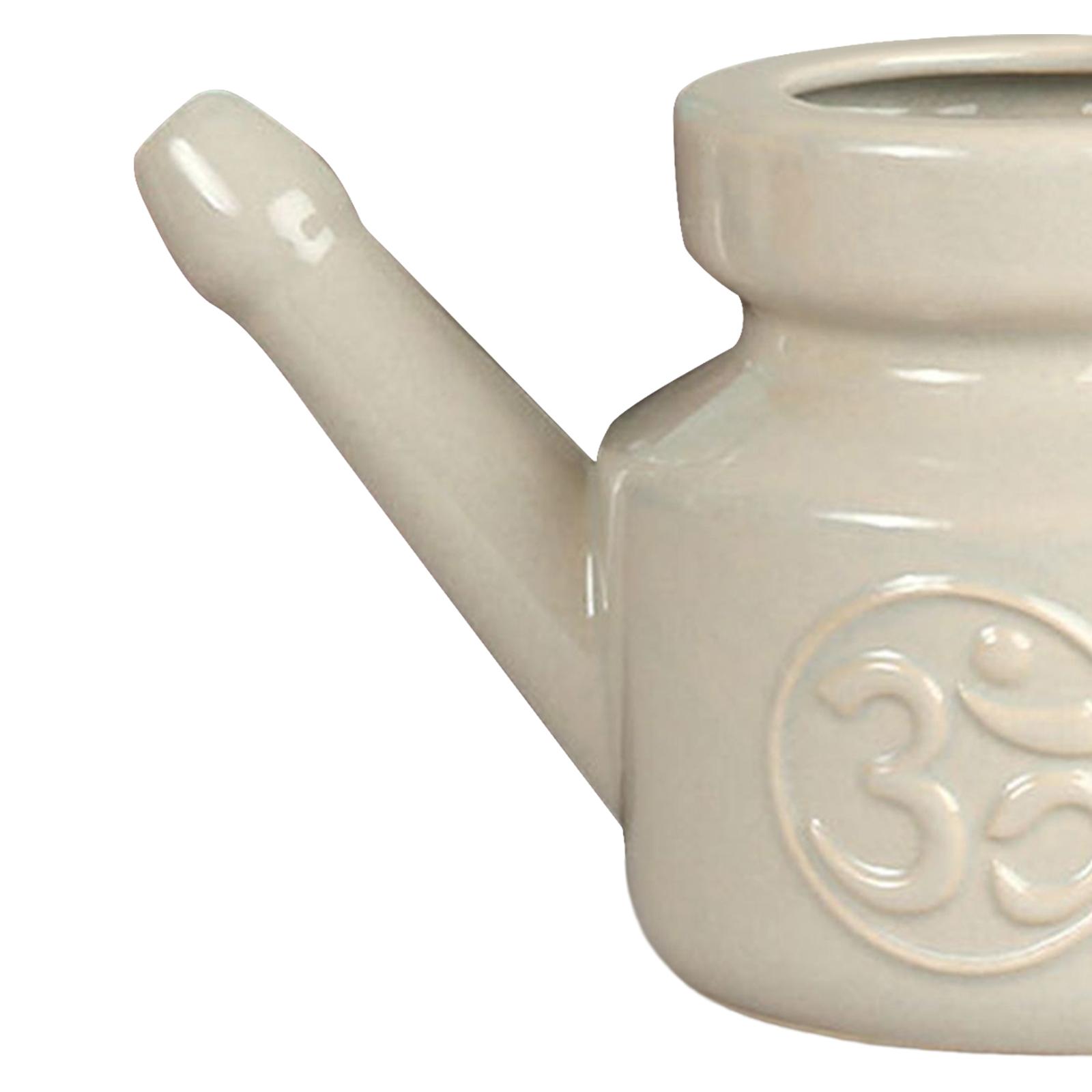 350ml Spuitpot Neusreinigingsp - Neti Pot Nasal Rinse recensie en prijs